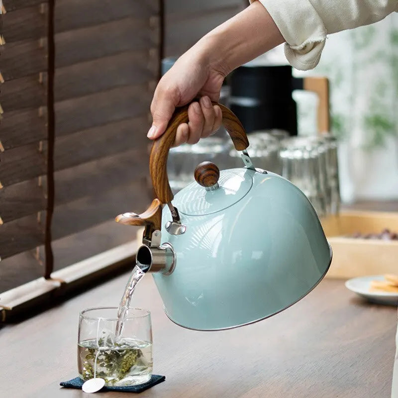 Stainless Steel Whistling Kettle: